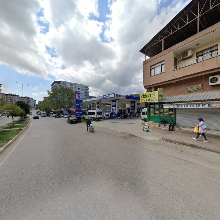 Fotoğraf 10