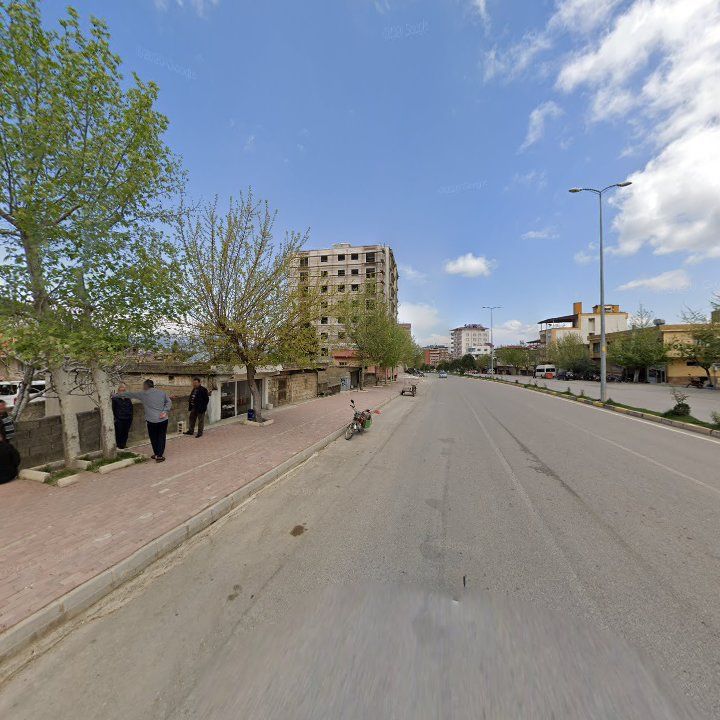 Fotoğraf 5