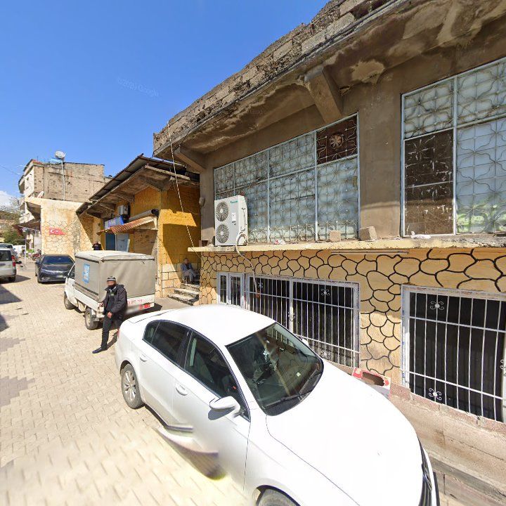 Fotoğraf 8