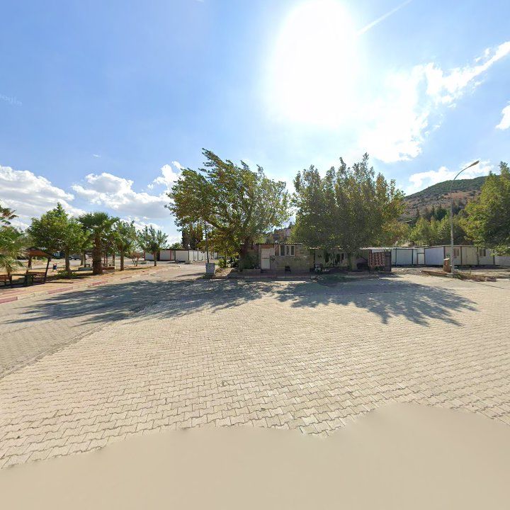 Fotoğraf 7
