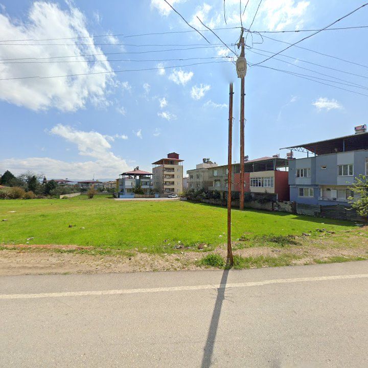 Fotoğraf 7