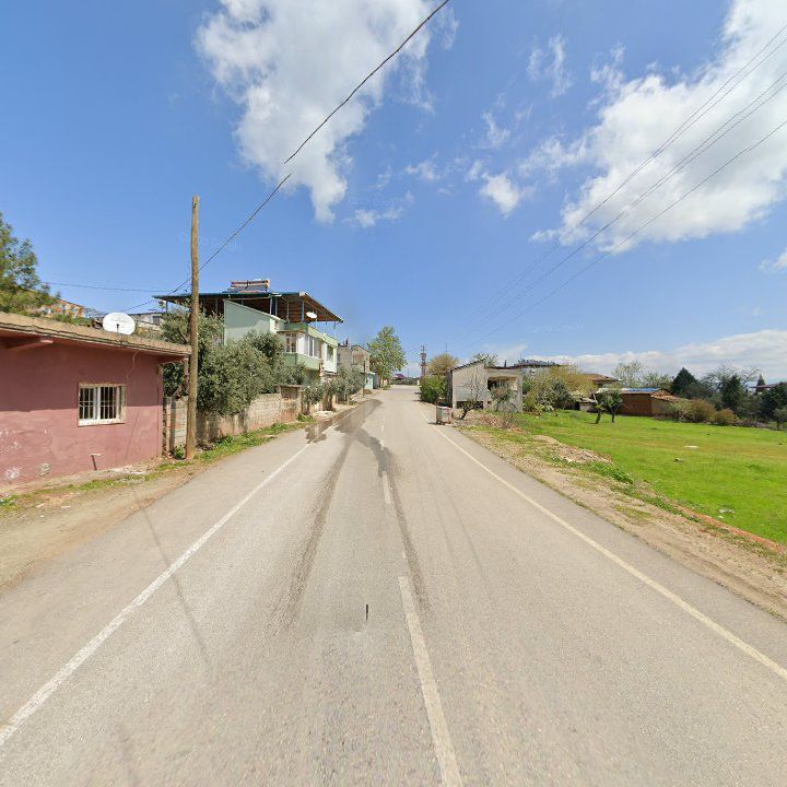 Fotoğraf 6