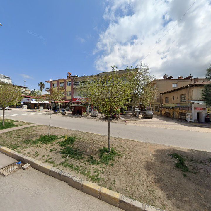 Fotoğraf 6