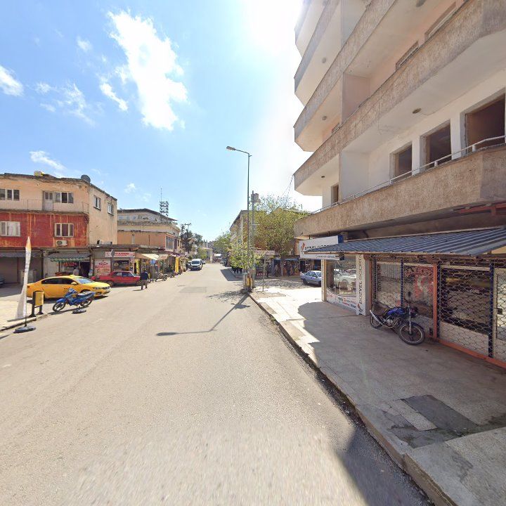 Fotoğraf 7