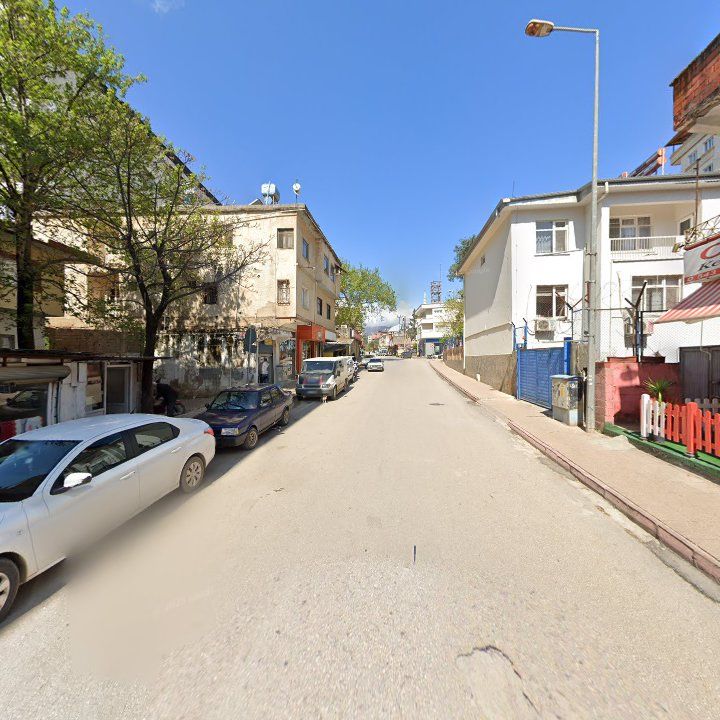 Fotoğraf 10