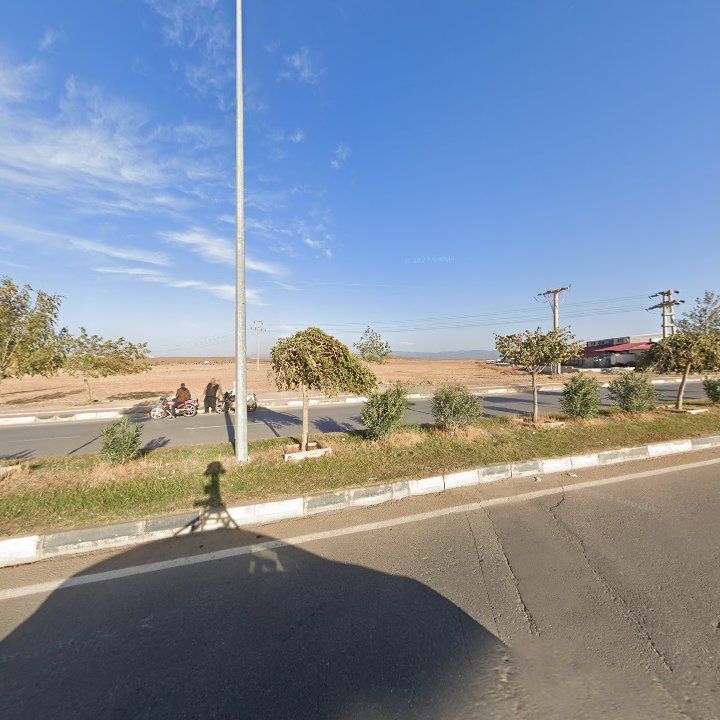 Fotoğraf 8