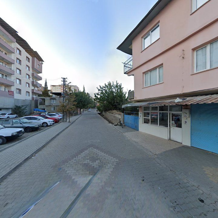 Fotoğraf 2