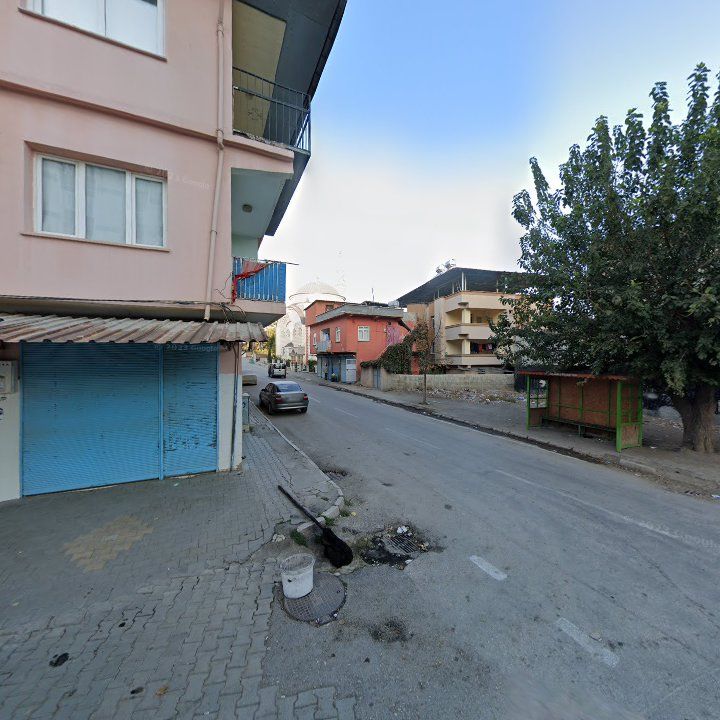 Fotoğraf 3