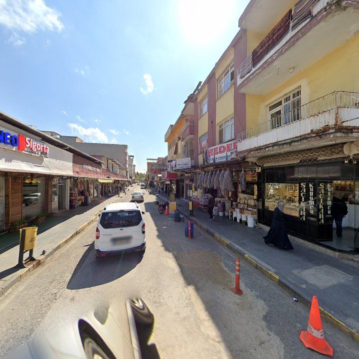 Fotoğraf 9