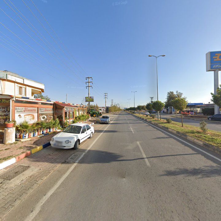 Fotoğraf 3