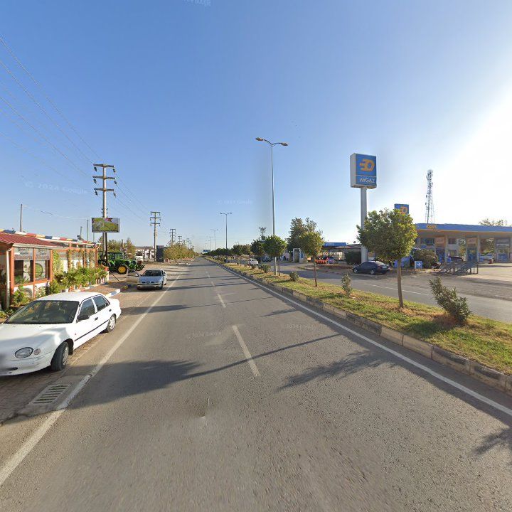 Fotoğraf 3