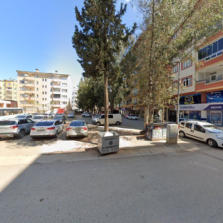 Fotoğraf 7