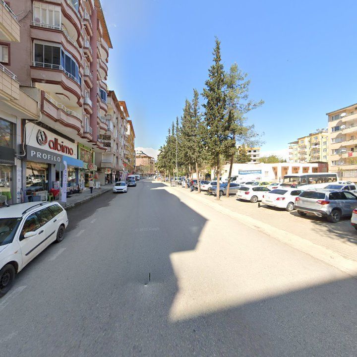 Fotoğraf 6