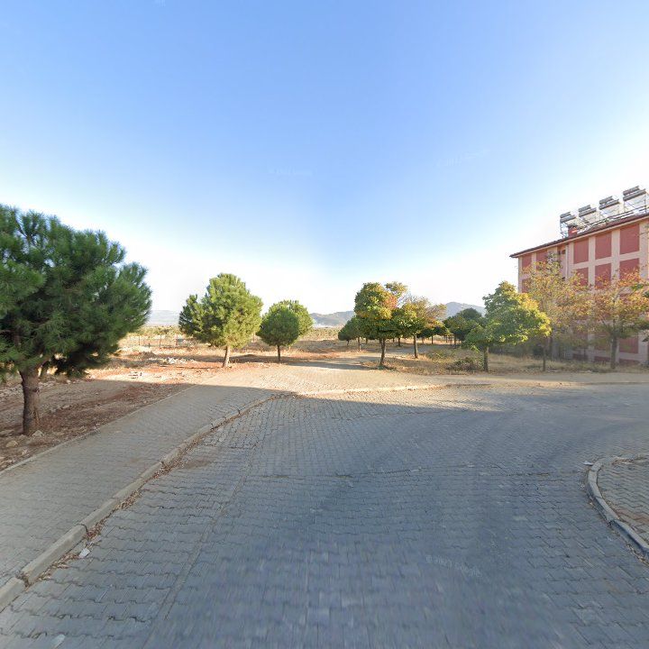 Fotoğraf 6