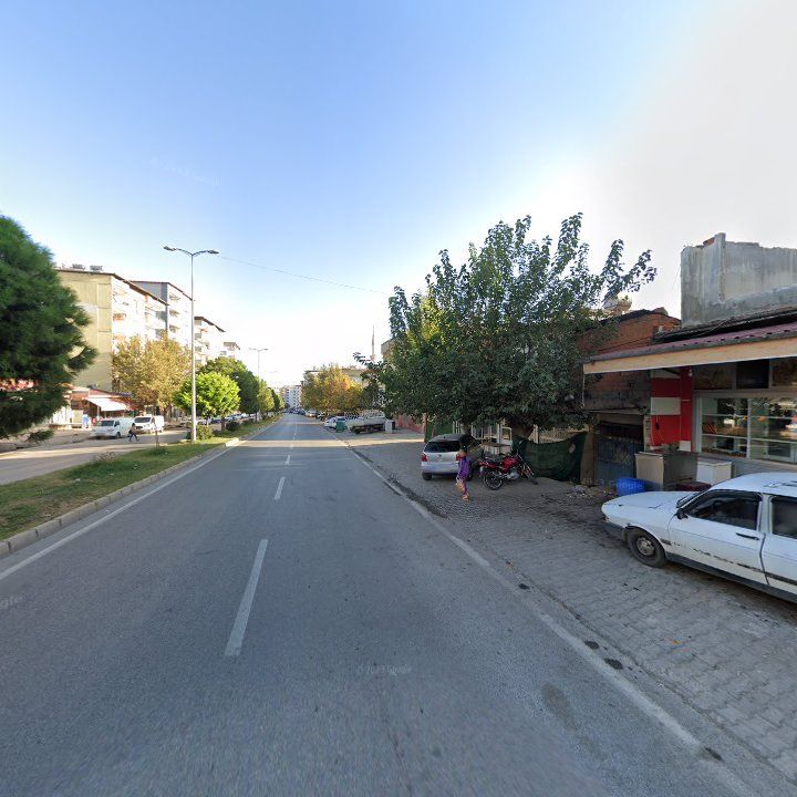 Fotoğraf 4