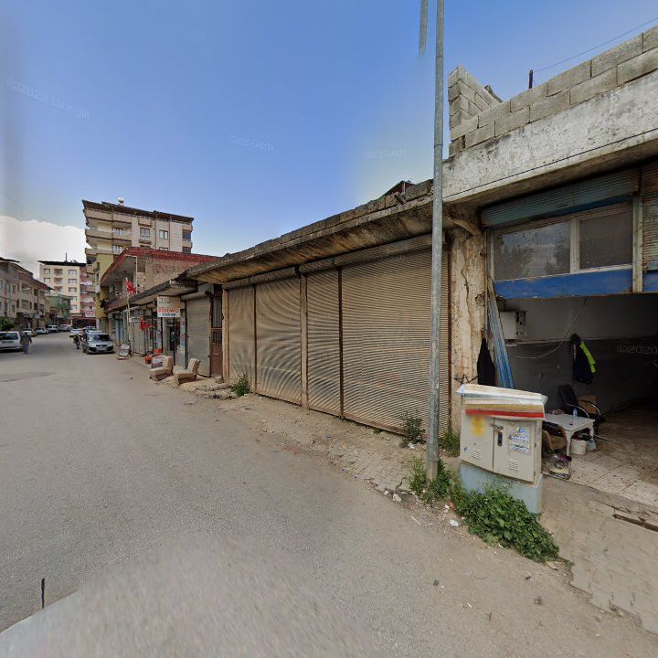 Fotoğraf 9