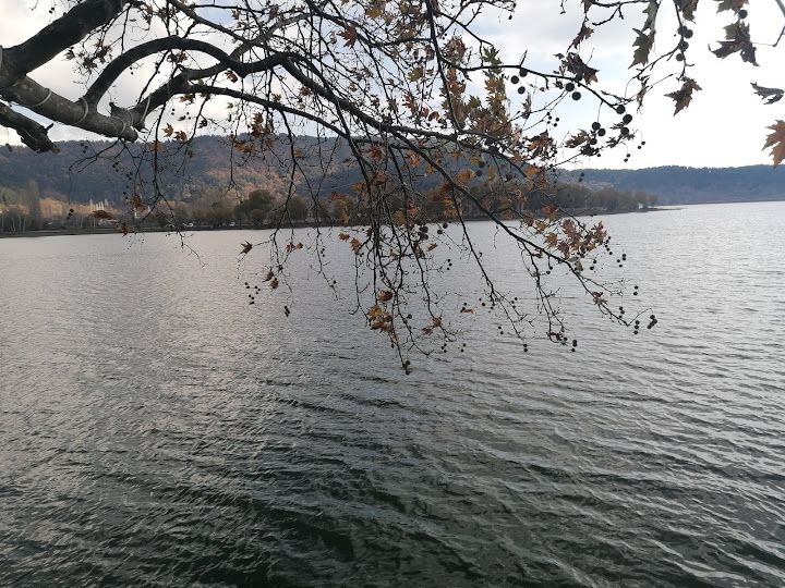 Fotoğraf 51