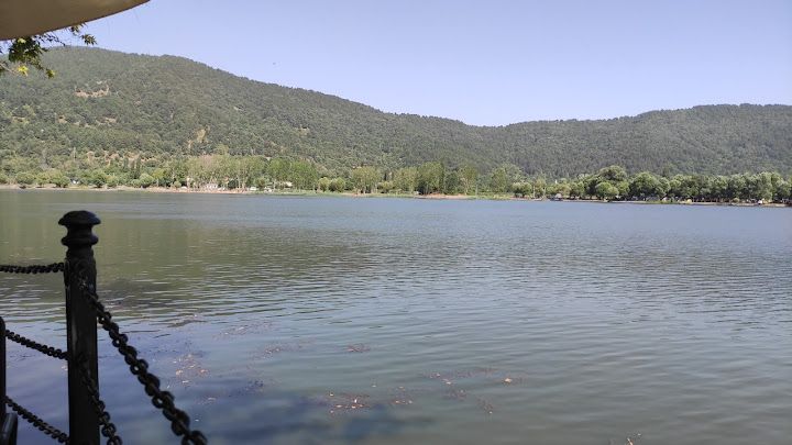 Fotoğraf 48
