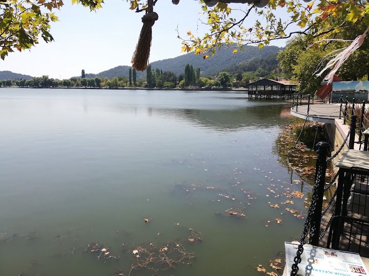 Fotoğraf 57