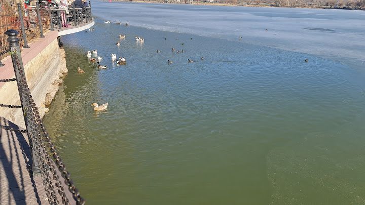 Fotoğraf 17