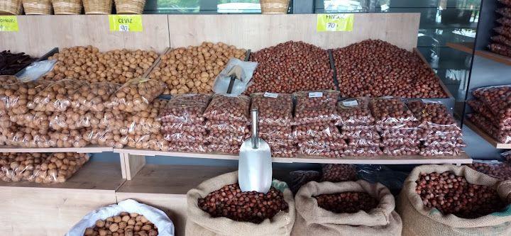 Fotoğraf 43