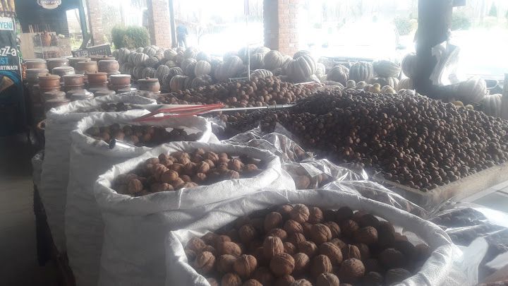 Fotoğraf 49