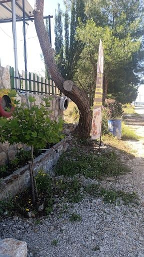 Fotoğraf 17