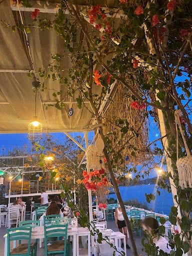 Yorum fotoğrafı 3