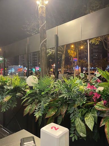 Yorum fotoğrafı 8