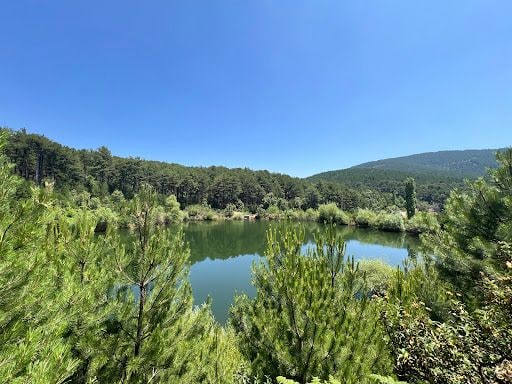 Fotoğraf 11