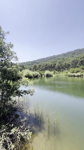Fotoğraf 13