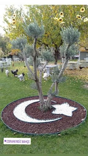 Yorum fotoğrafı 4