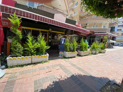 Yorum fotoğrafı 2