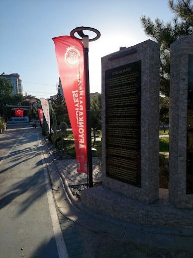 Yorum fotoğrafı 10