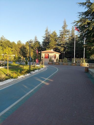Yorum fotoğrafı 3