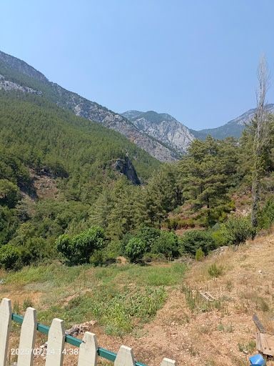 Yorum fotoğrafı 4
