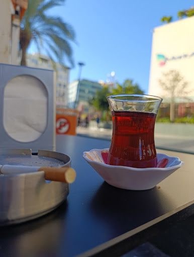 Fotoğraf 15