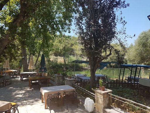 Fotoğraf 12