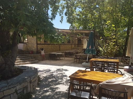 Fotoğraf 14