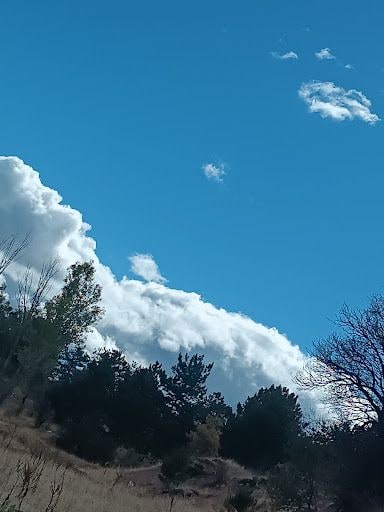 Yorum fotoğrafı 10