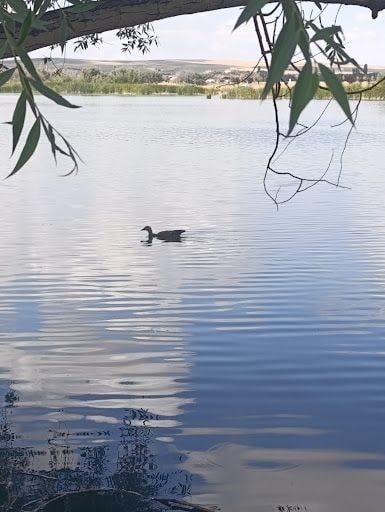 Yorum fotoğrafı 5