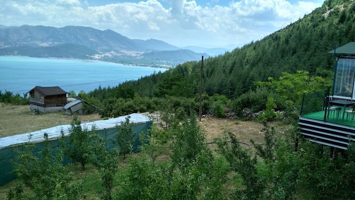 Yorum fotoğrafı 4