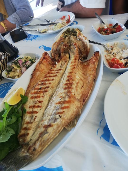 Fotoğraf 10