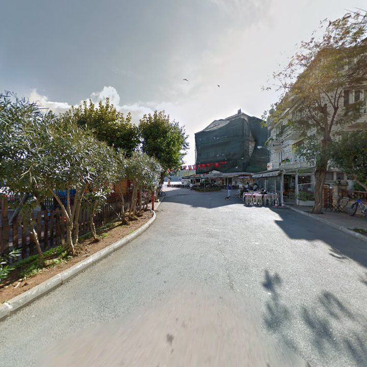Fotoğraf 16