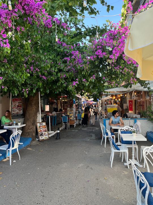 Fotoğraf 6