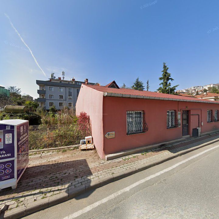 Fotoğraf 9