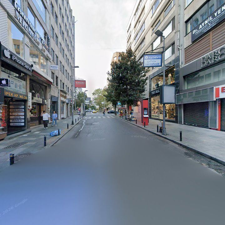 Fotoğraf 11