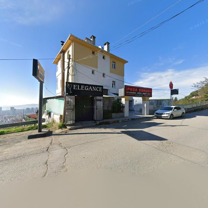 Elegance Disco - Bar