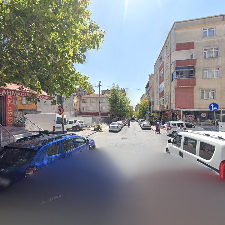Fotoğraf 12