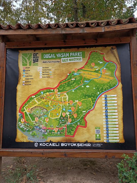 İzmit Kocaeli